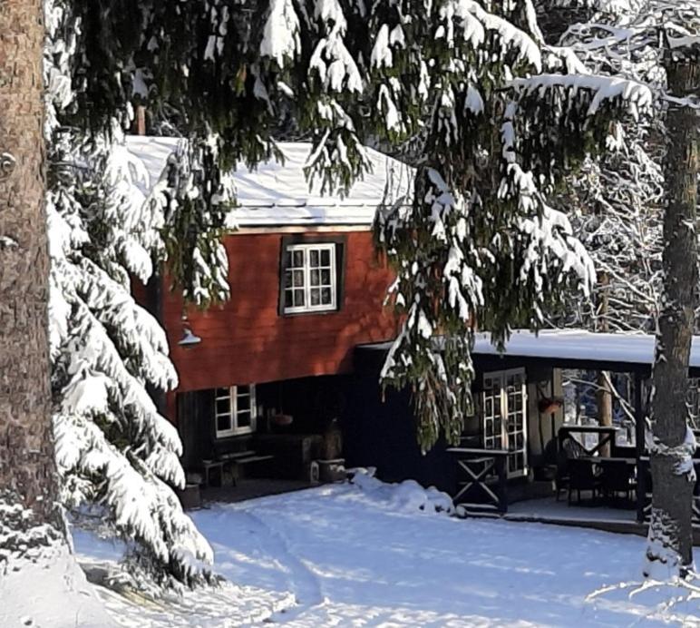 Mosku Pirts Meza Maja Villa Turaida ภายนอก รูปภาพ